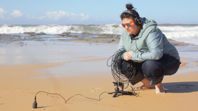 Echoes of the Coast: A Deep Dive into the Symphony of the Sea - A Scholar&#039;s Sonic Exploration along the NSW Shoreline